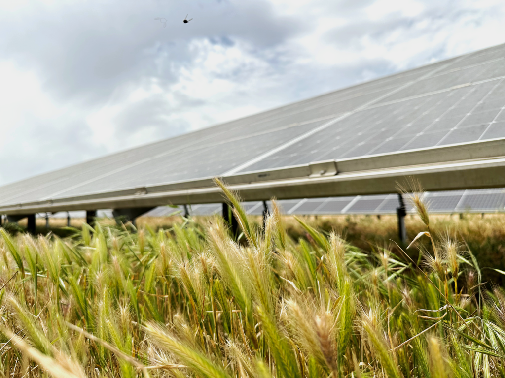 SOLEK se stane do roku 2040 uhlíkově neutrální společností